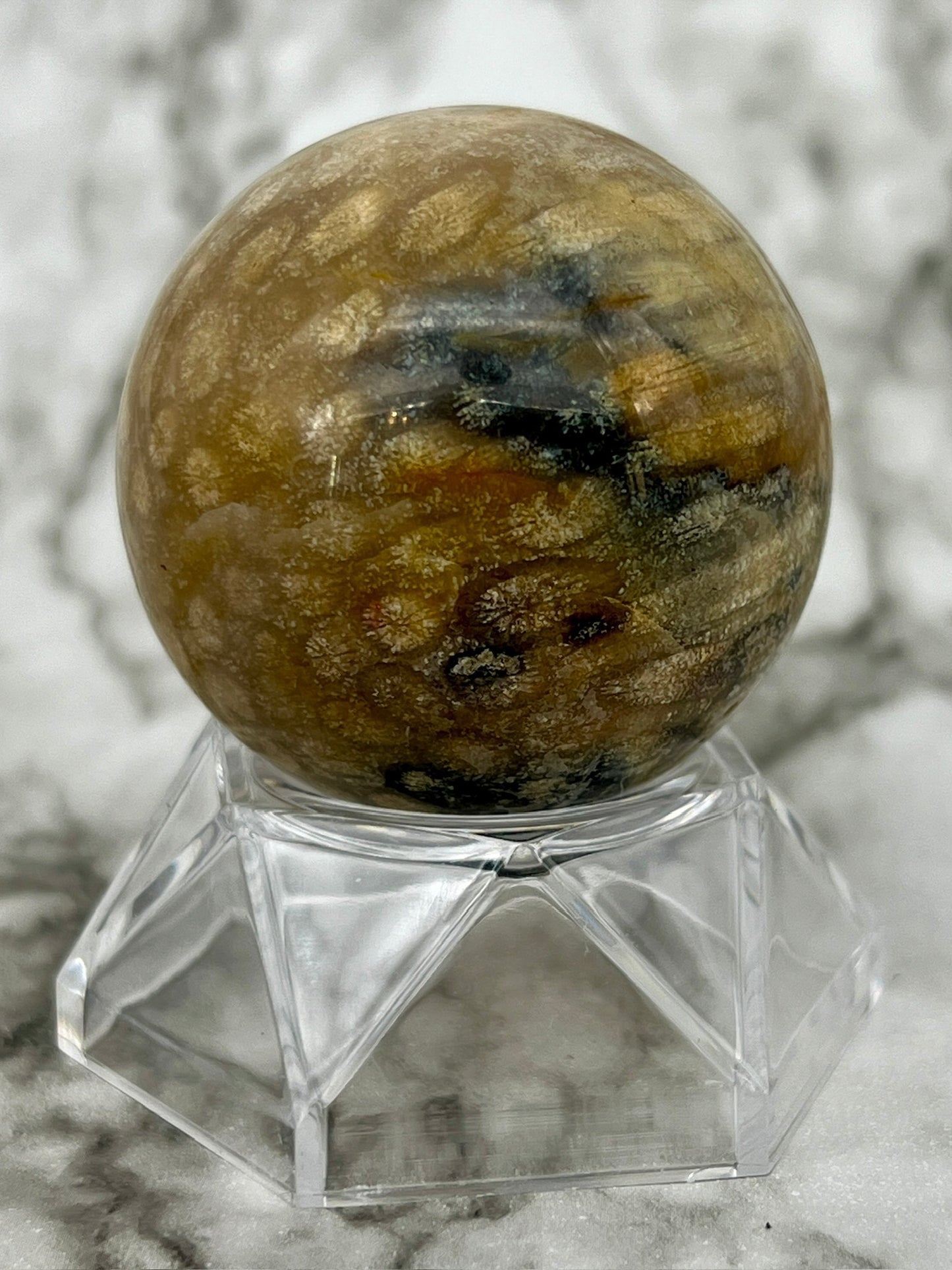 Fossilized Coral, Fossil Coral Sphere