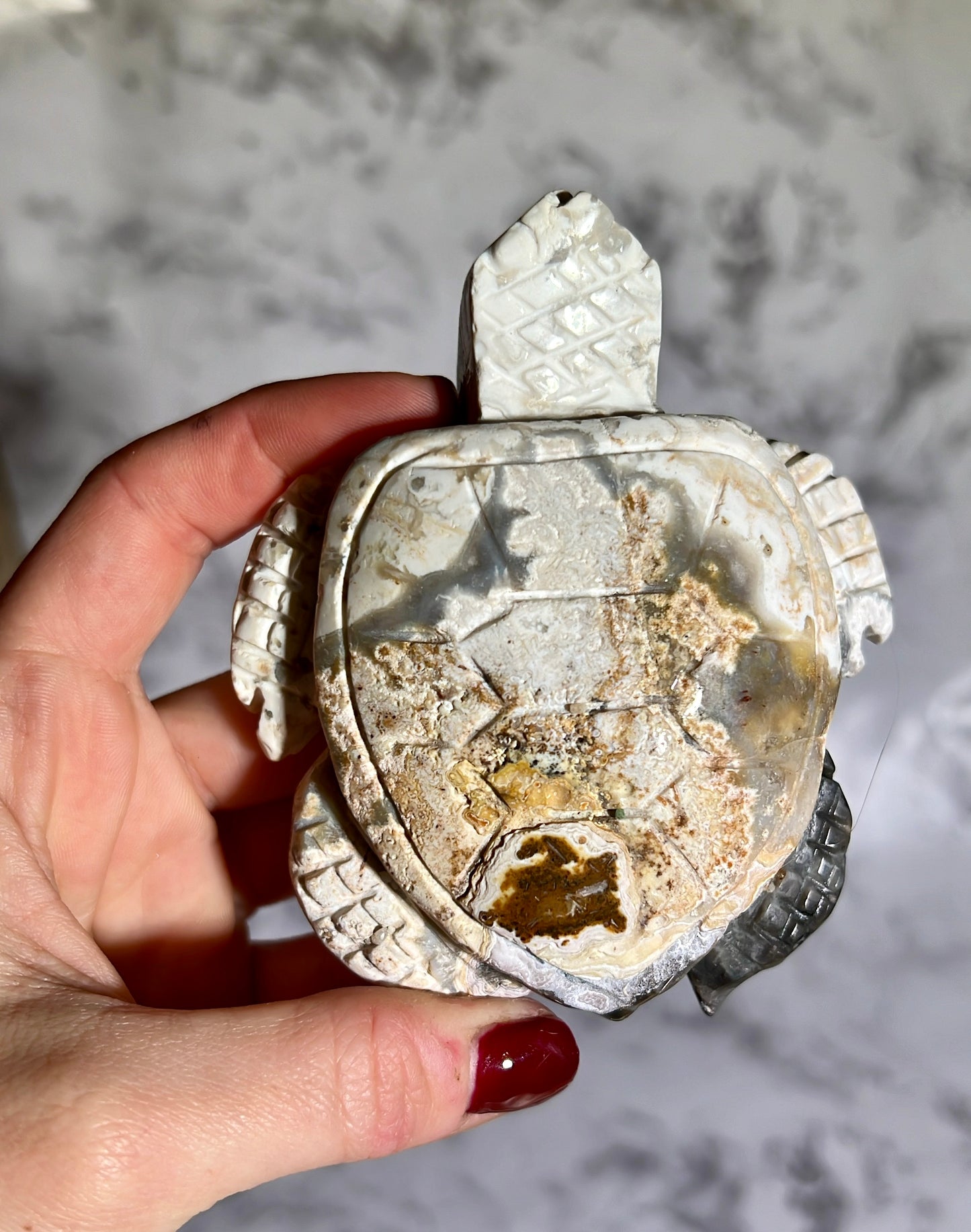 Crazy Lace Agate Turtle Carving