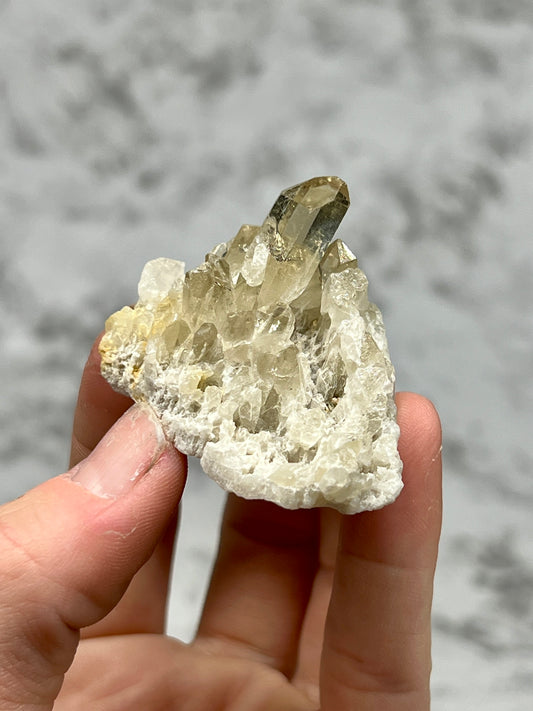 Citrine Cluster / Specimen