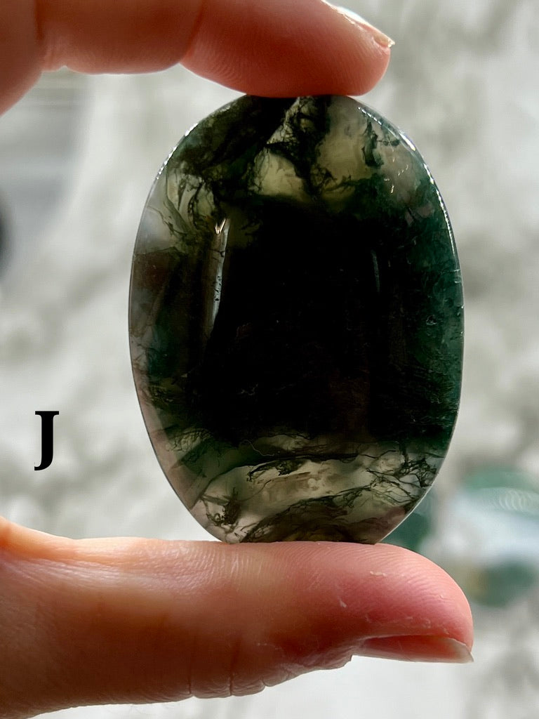 Moss Agate Palm Stone