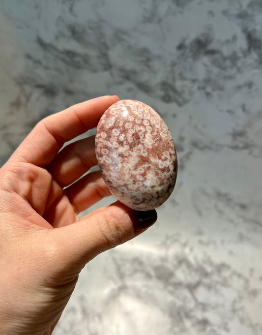 Strawberry Jasper Palm Stone