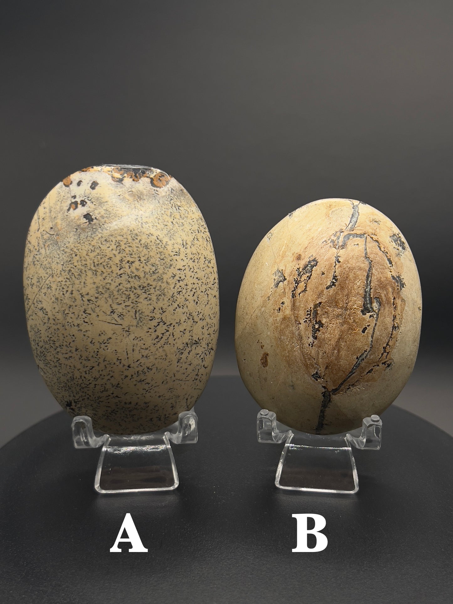 Picture Jasper Palm Stone
