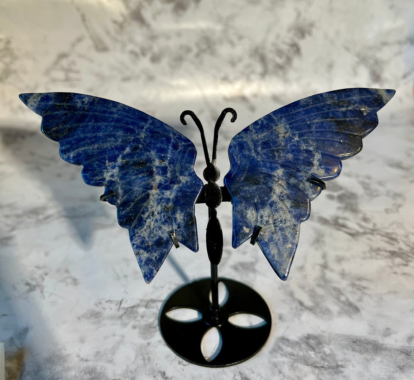 Sodalite Butterfly Wing Carvings with Stand