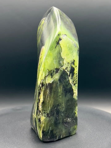 Transparent Serpentine Freeform