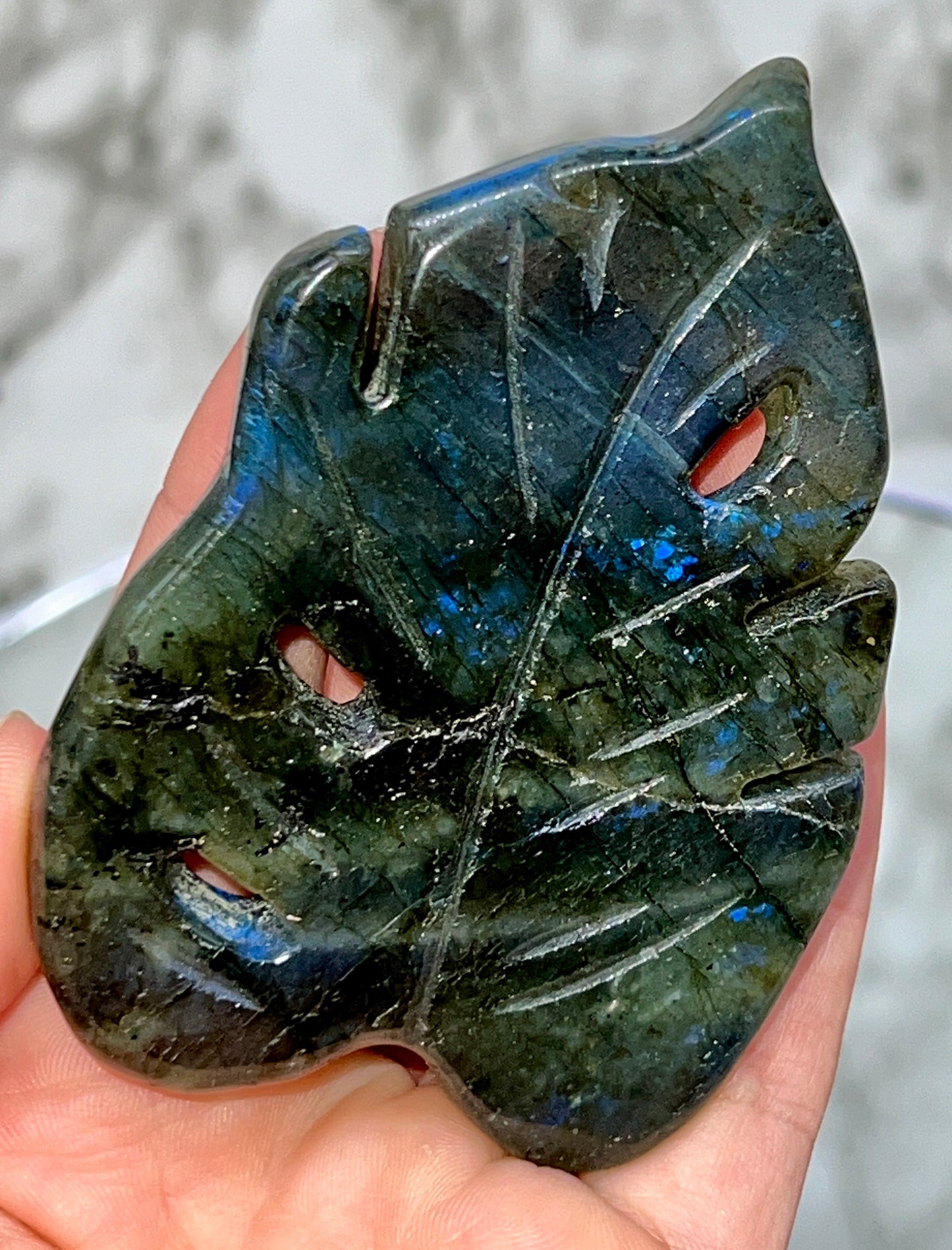 Labradorite Monstera Leaf Carving