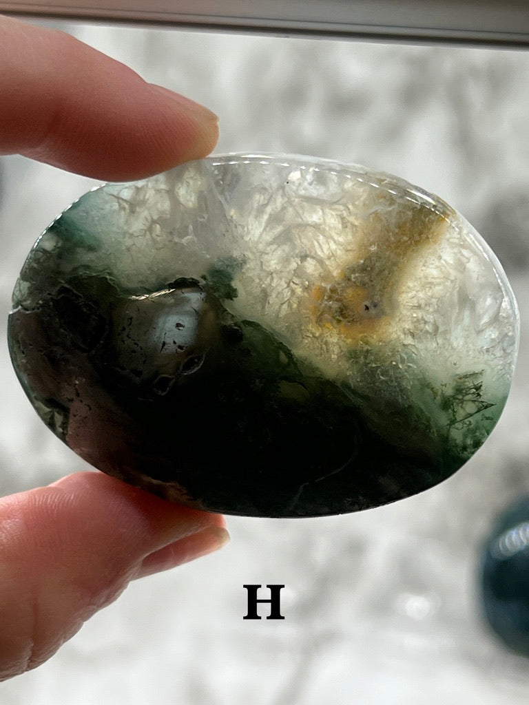 Moss Agate Palm Stone