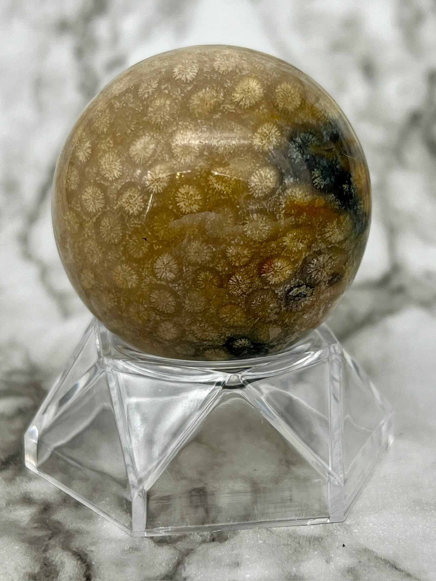 Fossilized Coral, Fossil Coral Sphere