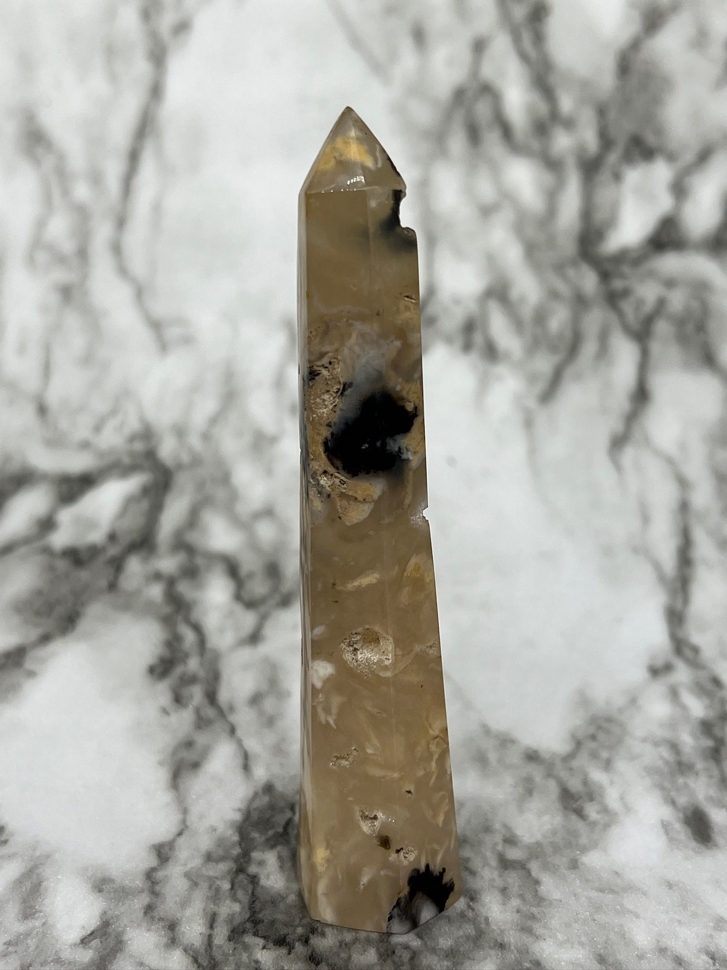 Dendritic Agate Point