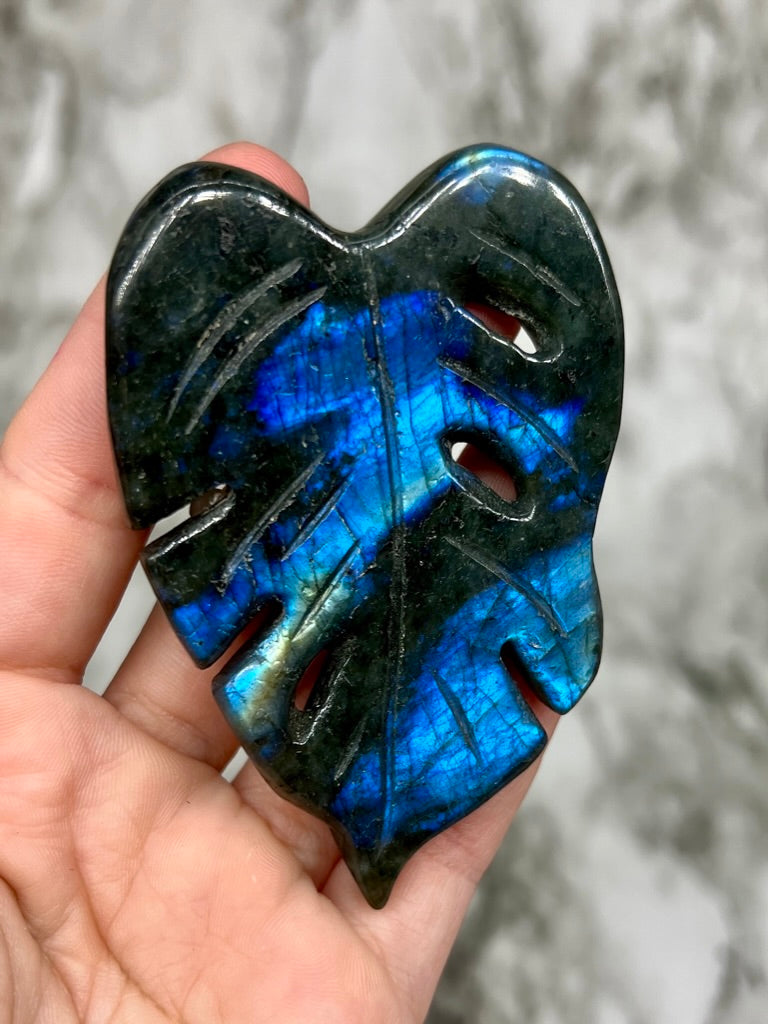 Labradorite Monstera Leaf Carving