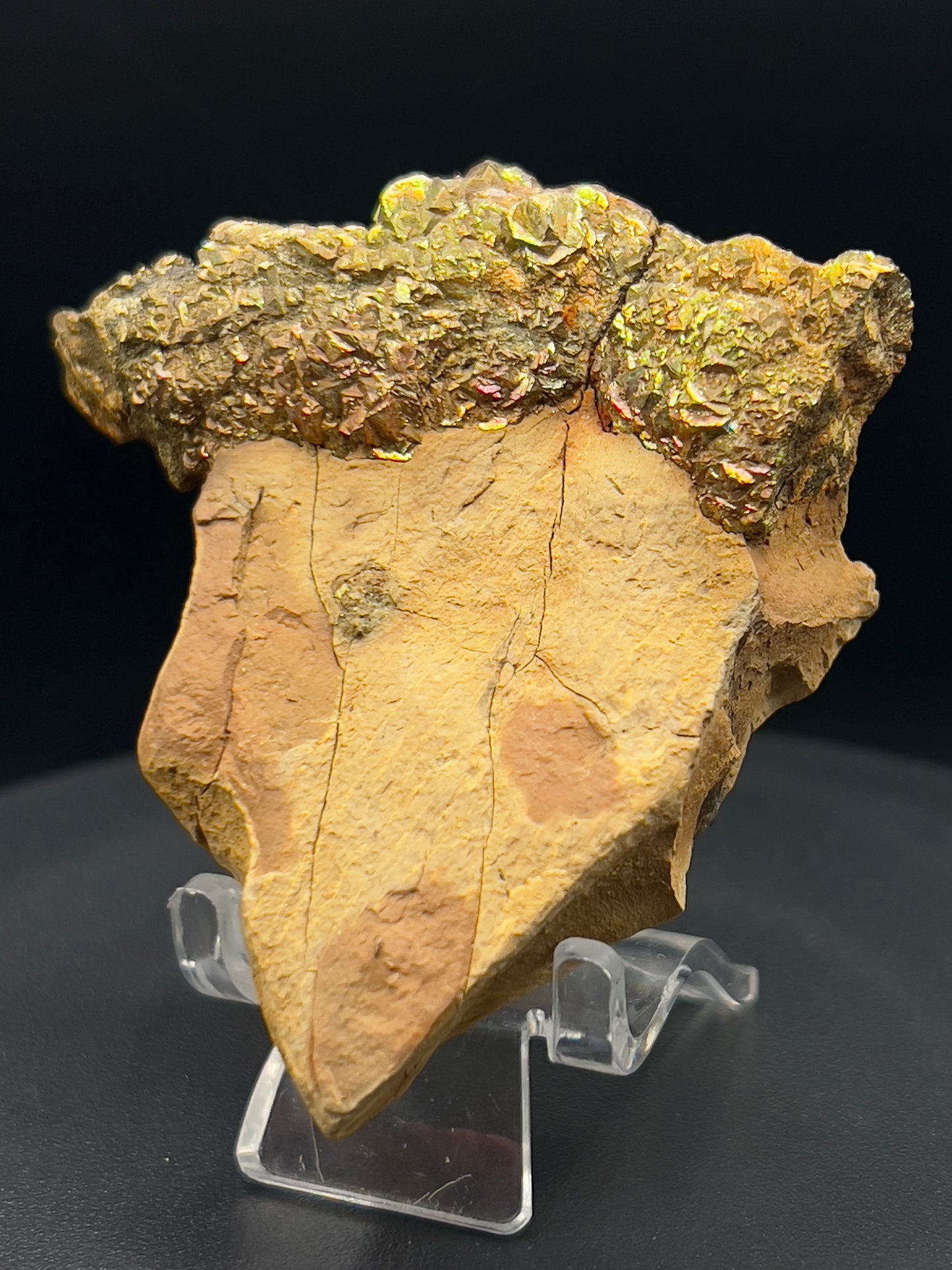 Pyrite Specimen