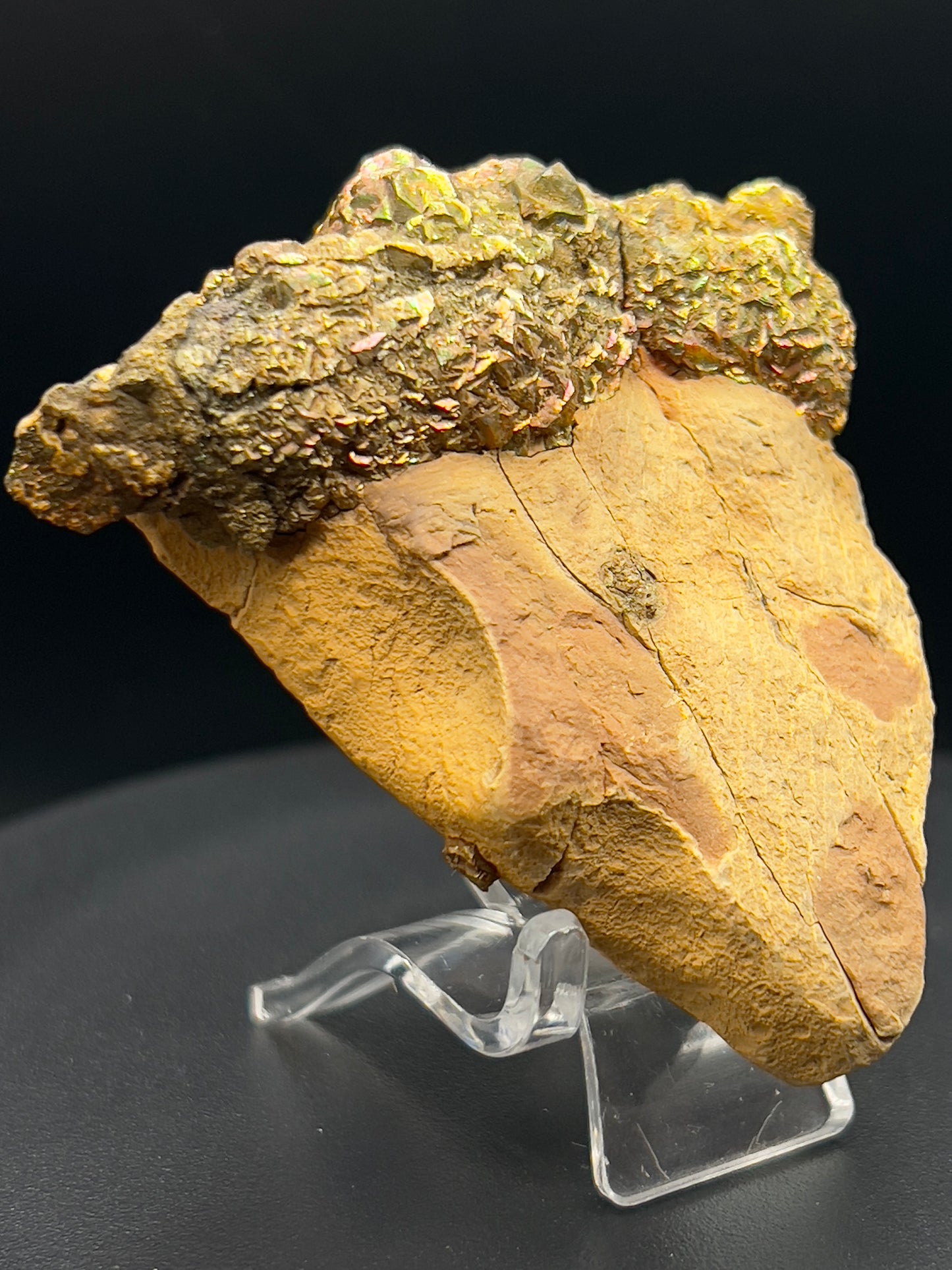 Pyrite Specimen